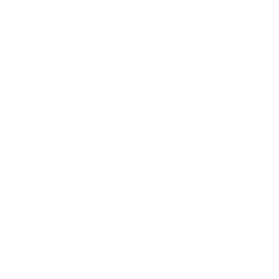 home icon